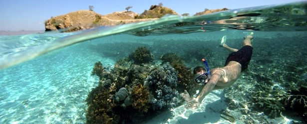 Snorkeling Turks and Caicos